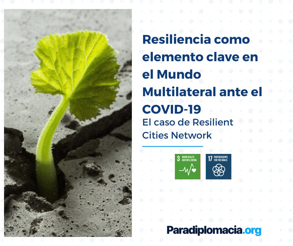Paradiplomacia's tweet photo. En la #NotaParadiplomática de hoy :

''La resiliencia adoptada ha jugado un rol en el desarrollo de la política internacional de los actores locales, contribuyendo a la superación de obstáculos emergidos"

👉Léela aquí: https://t.co/mudgeLphPv

#Paradiplomacia
#RedesdeCiudades https://t.co/CAkDSFyOwy