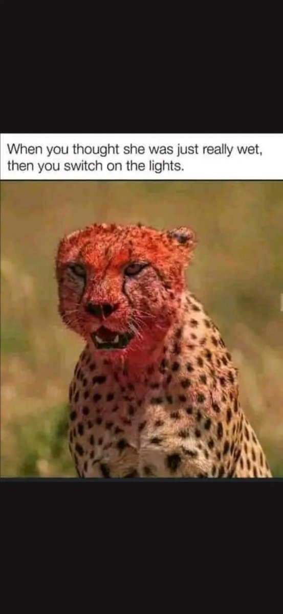 😭

#Funnymeme #Meme #SexMeme #onlyfans #Follow #sexy #Social #Admireme #Frisk #Fancentro #hot #sexymeme