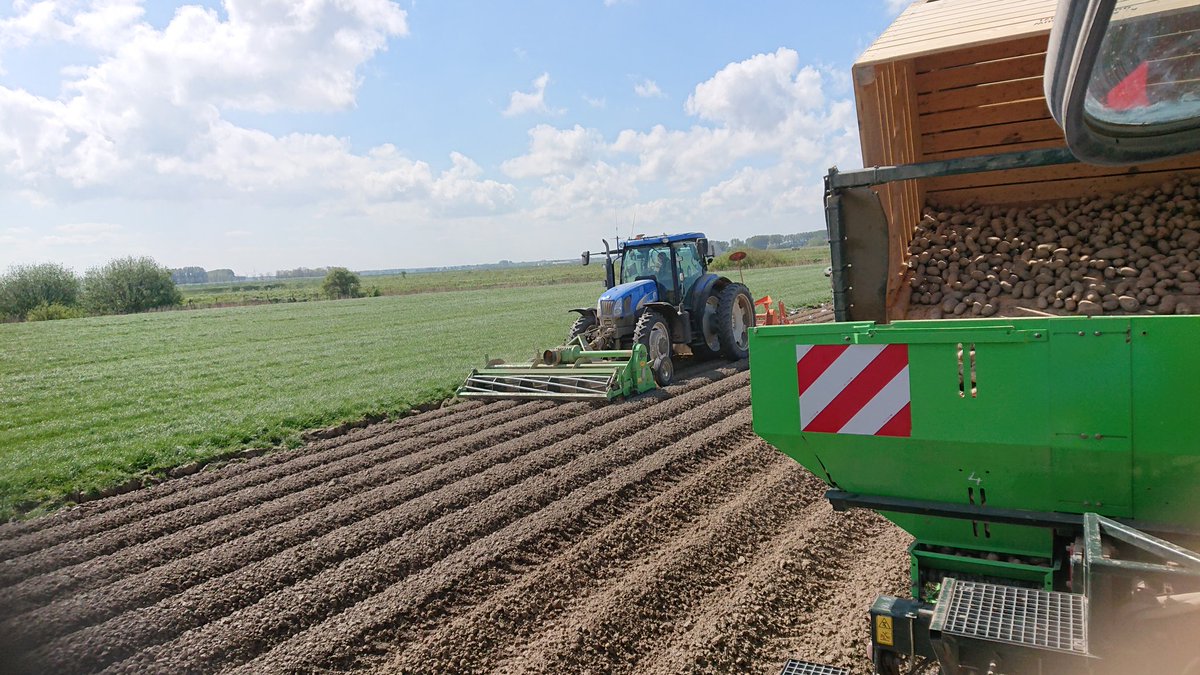 ih83_zvl's tweet photo. Ook op deze #akker is het #Droog en taai. Pootgoed #aardappelen voor #oogst22 gaan de grond in. Maar is wel meer strijd dan anders. Kopeggen, frontfrees en volvelds frees combinatie, en op de zware stukken de combinatie zelfs 2x. 't mag weer veel diesel kosten. #stoffig #loonwerk https://t.co/y9lG6Q2xc0