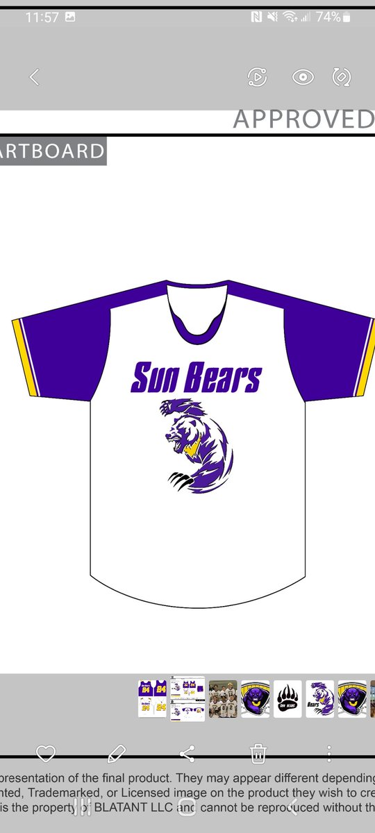 Sun Bears Lacrosse tweet media
