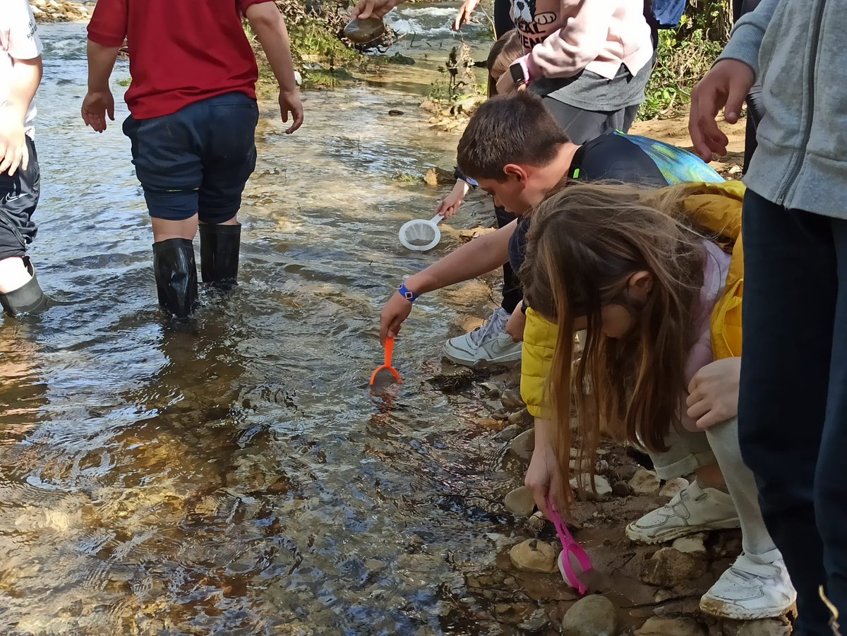 LaSalle_Burgos's tweet photo. 5º DE PRIMARIA SE VA A BUTRERA - Los alumnos de 5º EPO se fueron ayer de excursión a las aulas de la naturaleza de #MolinoDeButrera, donde estarán hasta el viernes.
Deportes, marchas por el monte, talleres, veladas, rutas...
Podéis verlas imágenes en Sallenet.
#SomosLaSalle https://t.co/CotSZzeGmd