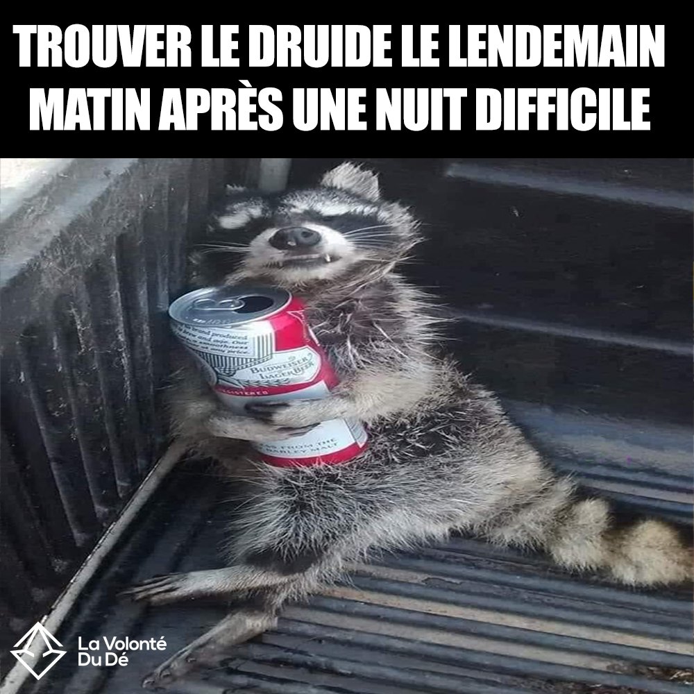 lavolontedude's tweet photo. Où est passé le druide ? 😂😂😂 https://t.co/PhedJtG3Ct