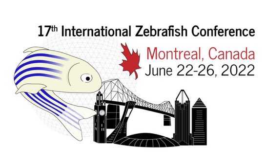 Philip Ingham (@phil1pingham) on Twitter photo 