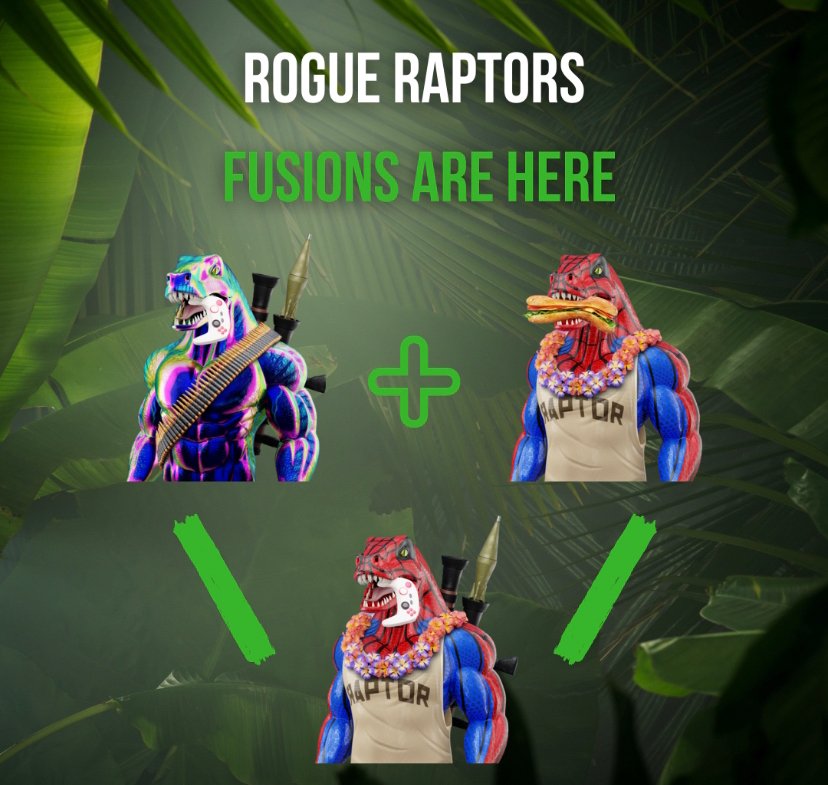Rogue Raptors tweet media