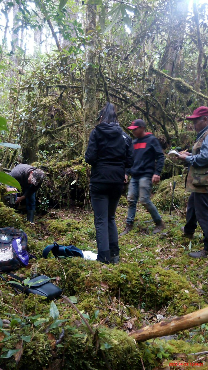 RaiBF2's tweet photo. Great weekend! I felt in paradise between clouds and mountains, such a diverse ecosystem ♥ New field site, new people, new ideas. Let's keep going ;) https://t.co/79NIybpT07