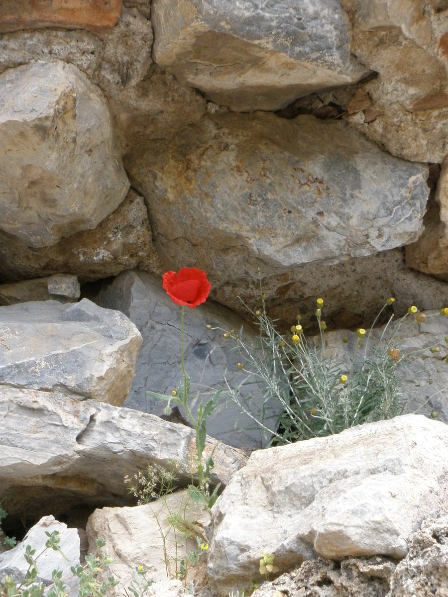 JCFXII's tweet image. #singularity :secret place near Ephesus