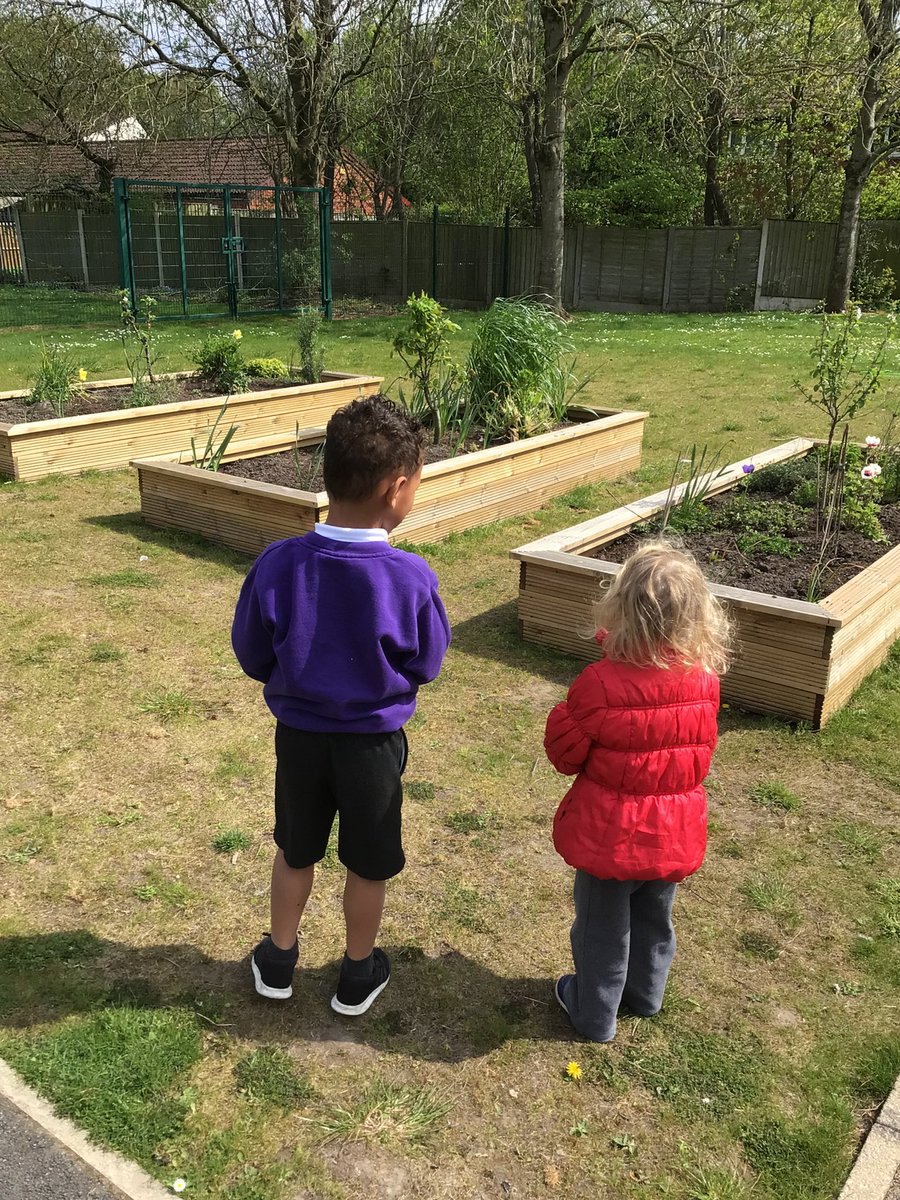 BirchwoodCE's tweet photo. EYFS went on a walk around the school grounds to observe changes to the plants and weather as we approach summer โ๏ธ๐ฟ๐ณ #bceps #bcepseyfs #eyfs https://t.co/nSbTInrwuB