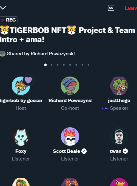 0xpmc's tweet photo. @tigerbobNFT I'm in ! https://t.co/pDVpWhRrAM