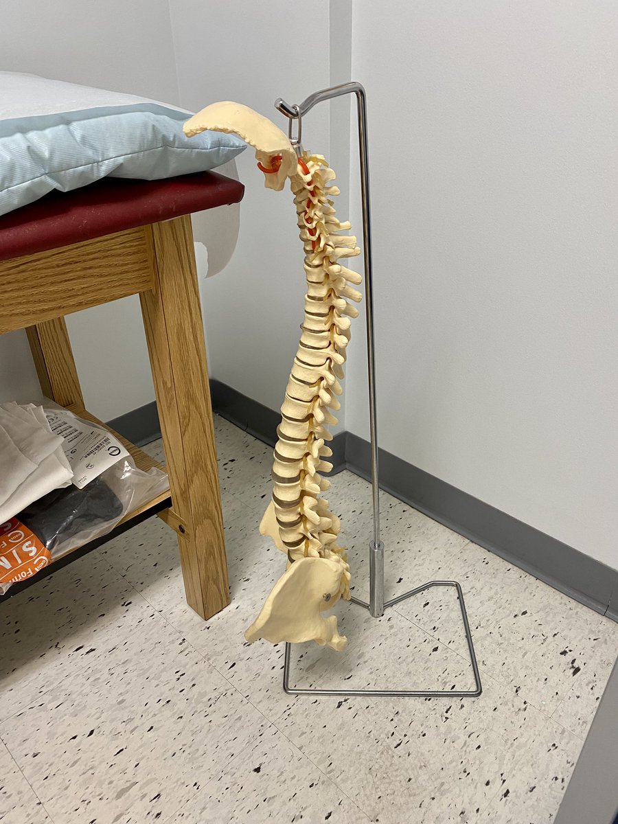 TheMamaFesto's tweet photo. Alright. Let’s do this. #FixMyBack https://t.co/AAXW2e0xAR