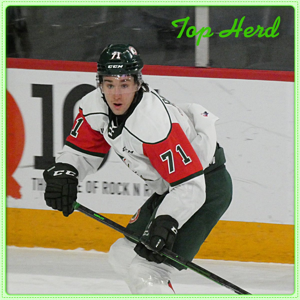 MC_MooseCountry's tweet photo. The Moose Country Top Herd for Mar 12, with two goals, is Evan Boucher #topherd #Halifax #Mooseheads
Photo - AMH Photography https://t.co/kD1dtYbBmT