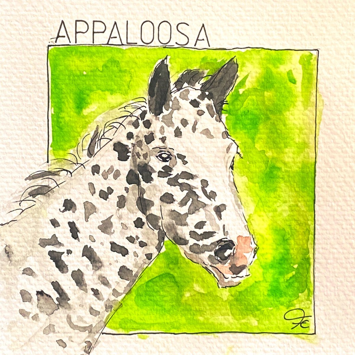 New round Breeds of Animals. 

First up A is for Appaloosa, illo thanks to <a href="/kritzelich/">The artist has left the building.</a>

Post Monday 7.30pm BST with #AnimalAlphabets also be sure to tag us on <a href="/AnimalAlphabets/">Animal Alphabets</a>
 so we don't miss your tweets. Thanks all!