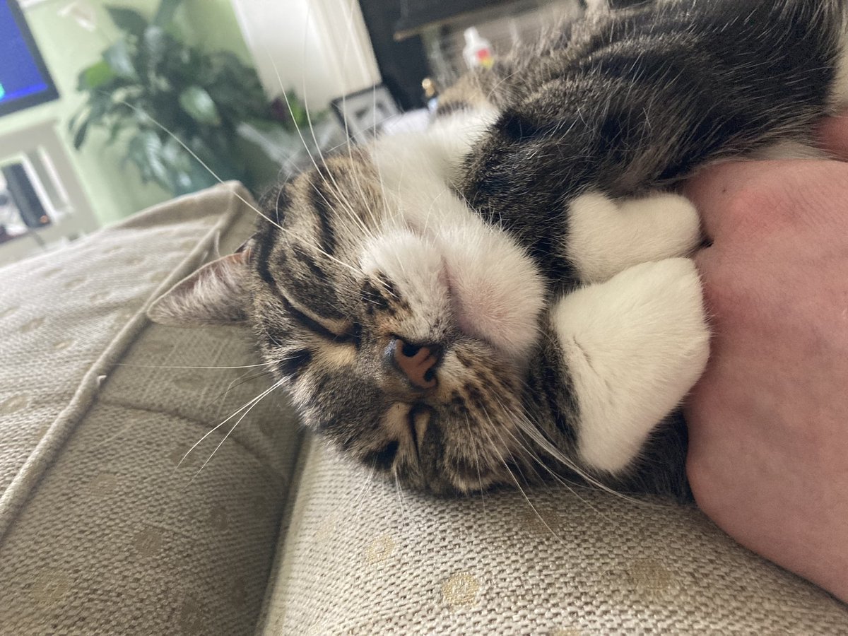Tosuff's tweet photo. 🥺 https://t.co/h6a2PuzxsU