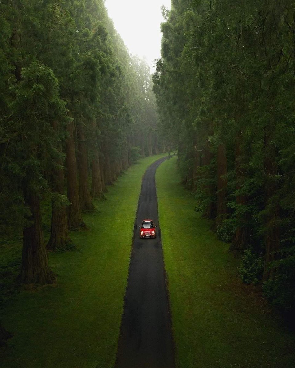 saharjawhari's tweet image. القيادة عبر الطبيعة العملاقة -  إنجلترا