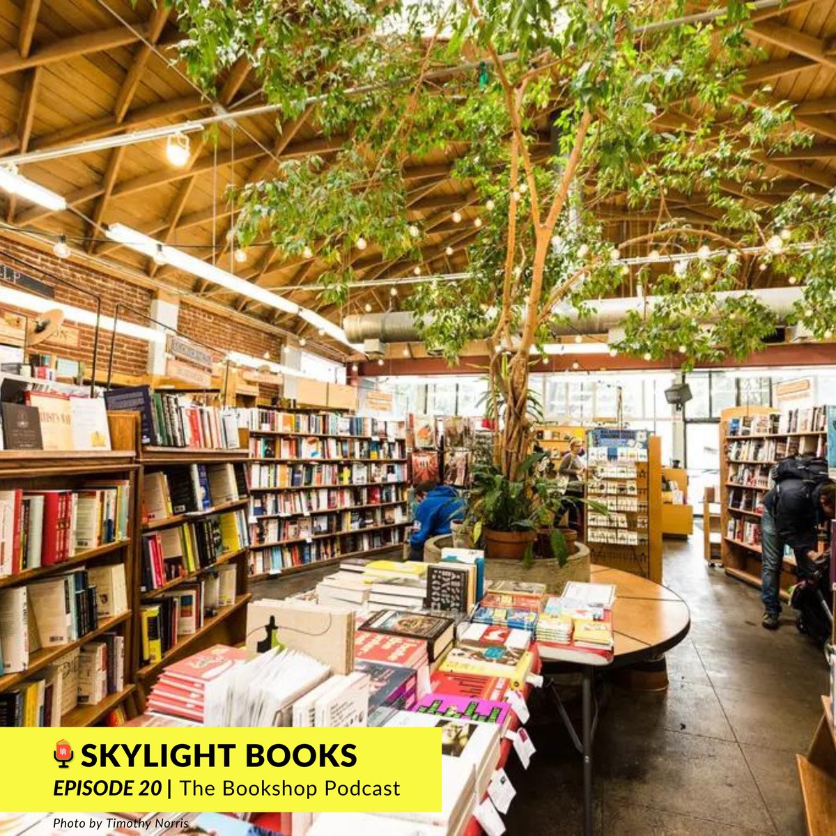 MJacksonBeverly's tweet photo. Skylight Books - https://t.co/pgEoGFPAa0

#IBD22 #IBD2022 #shopsmall #shoplocal #indiebound #indiebookshoptuesday #independentbookstoreday
📸 ctto https://t.co/i5l0rQZMD6
