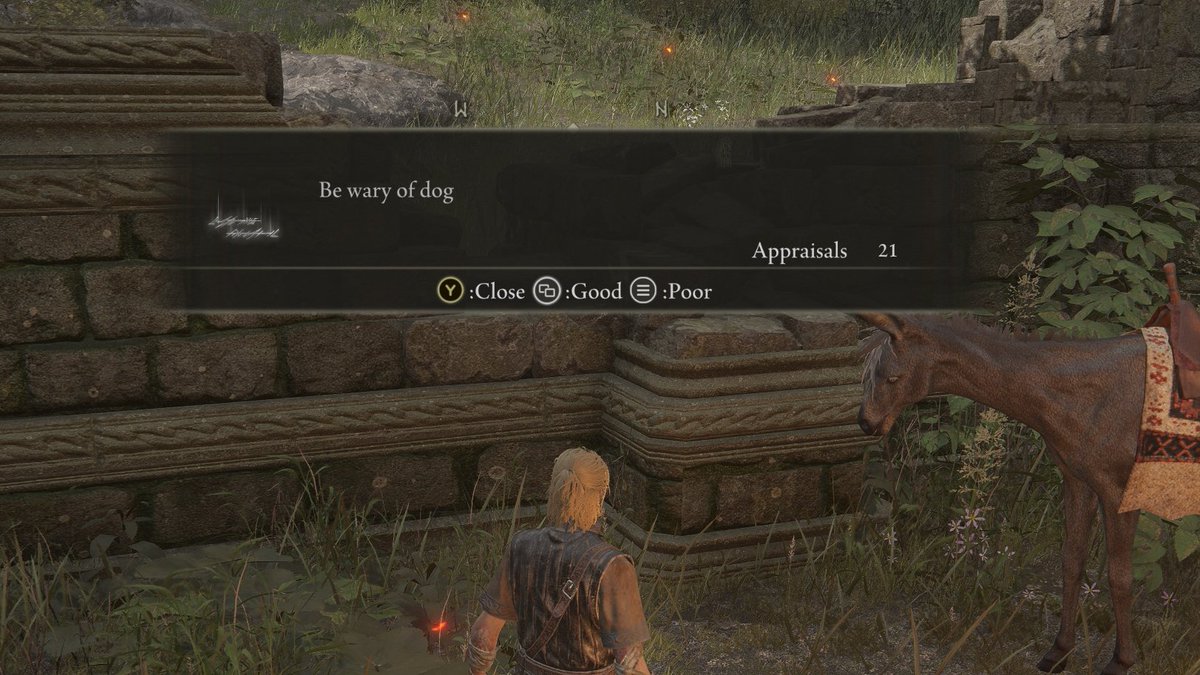 Elden Ring screen shot with message 'Be wary of dog'