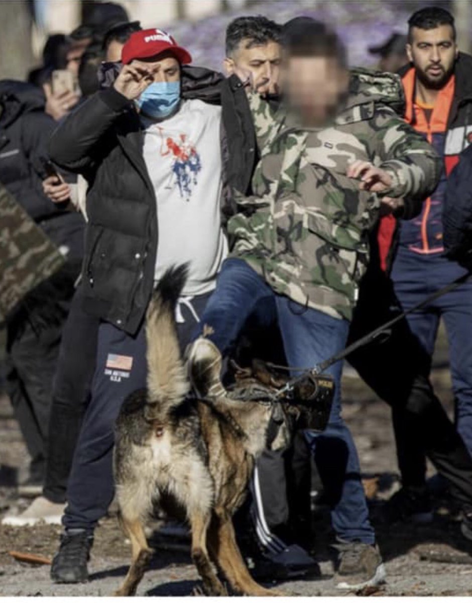 Ola Kallqvist tweet media