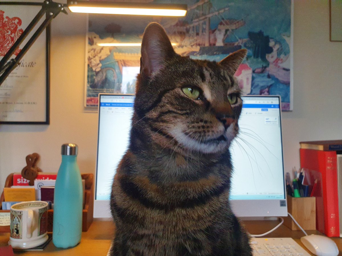 Once again the cat is bidding for a spot in the PhD acknowledgments. If he ever lets me finish it.