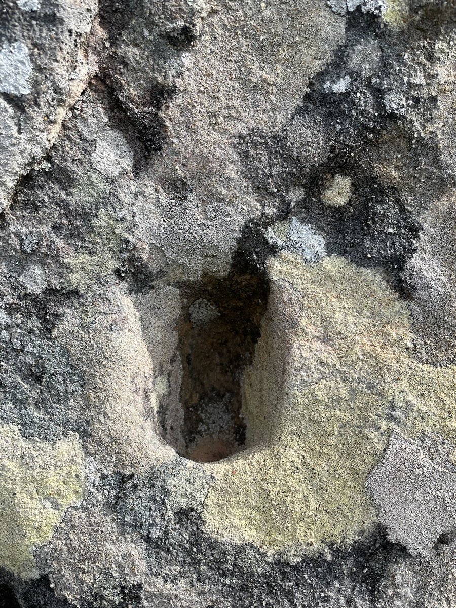 jrambaud's tweet photo. Paseo por #Neolitico #EdadBronce a 300 m de casa #menhires #megalitico #Facinas #Tarifa #arqueologia #archeology https://t.co/B9Z0w2T2rQ
