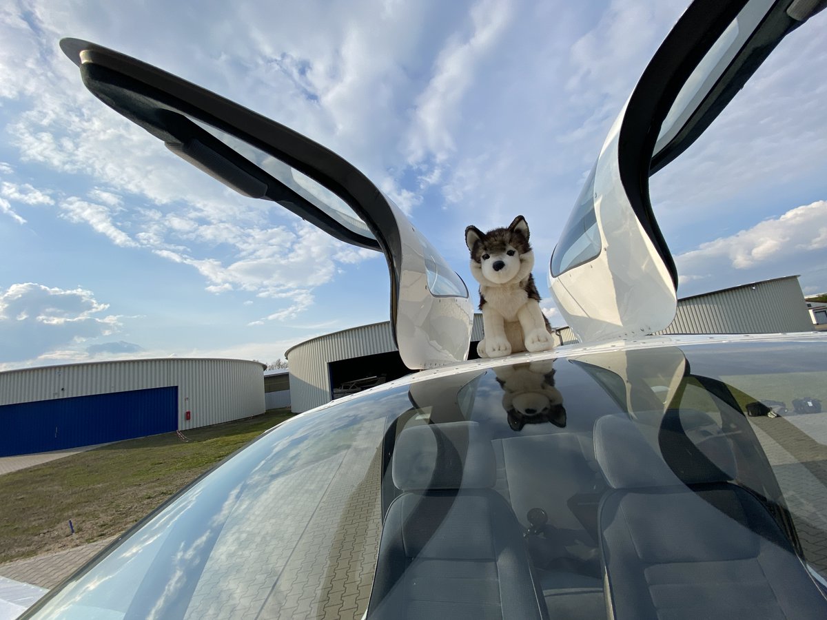 WolfpilotDE's tweet photo. Winged Wolf 🕊🐺
#wolfpilot #aviation #Tobago #SocataTB10 #aircraft https://t.co/7ycWWQ8AD0