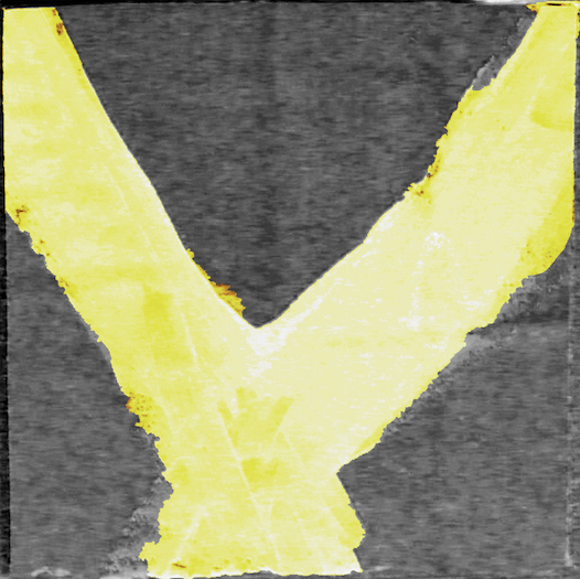 wcls_official's tweet photo. can't you see? https://t.co/CirxbApkpD