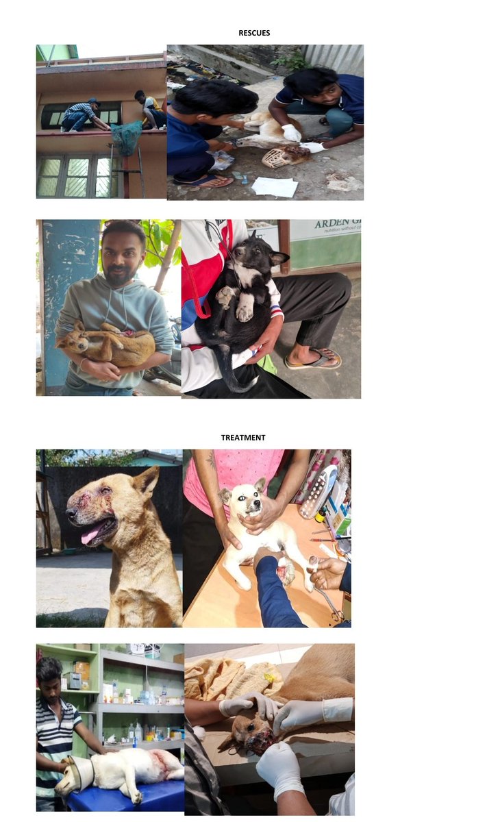 Animal Welfare People tweet media