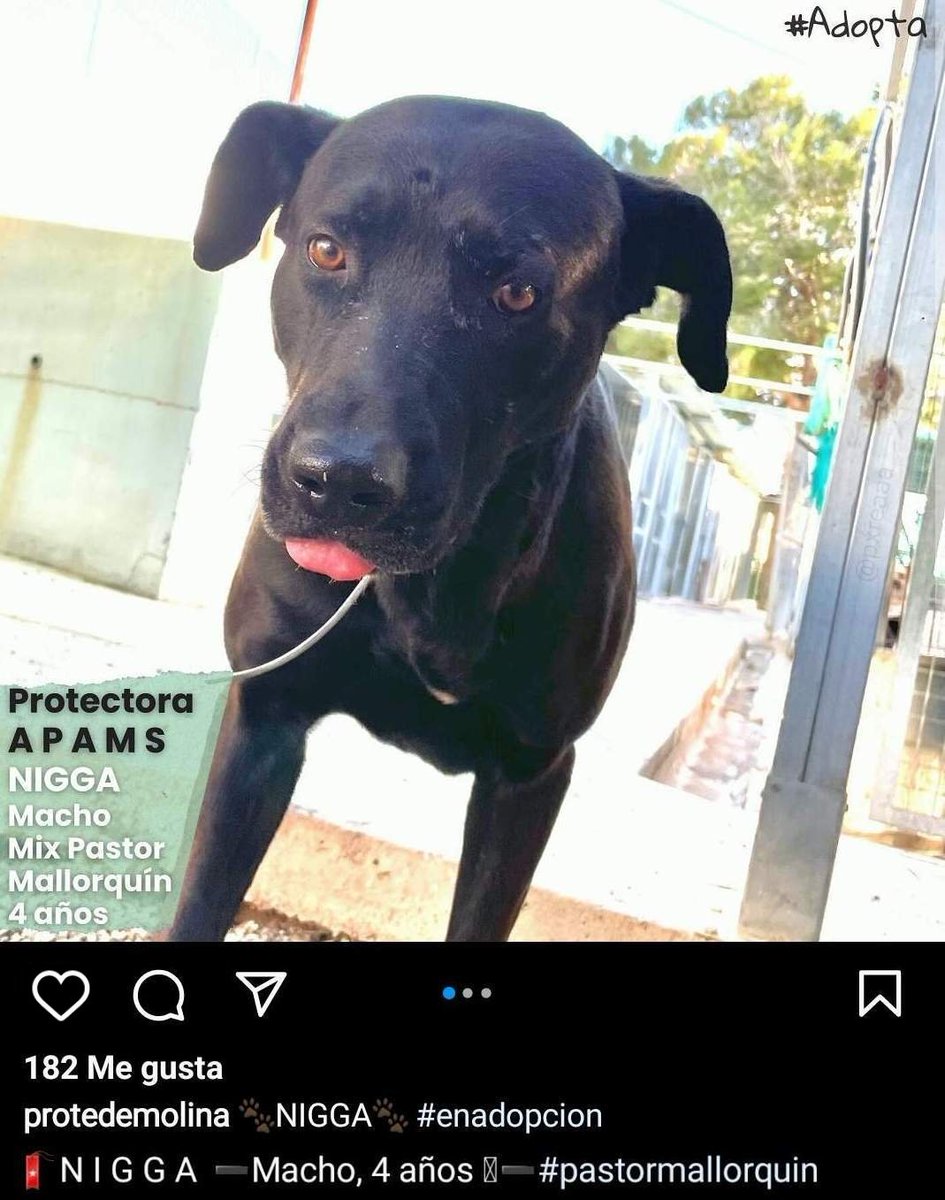 perea (@pxreaaa) on Twitter photo 