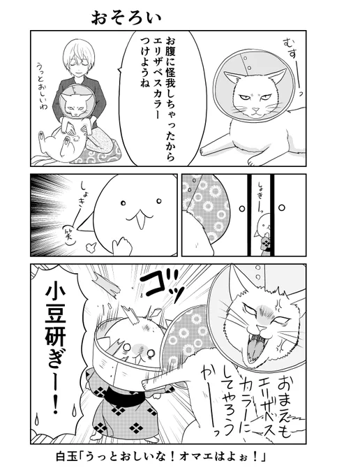 今日は新作です。
白玉と小豆とぎ初めてのおそろい。
#ウチの百鬼夜行 