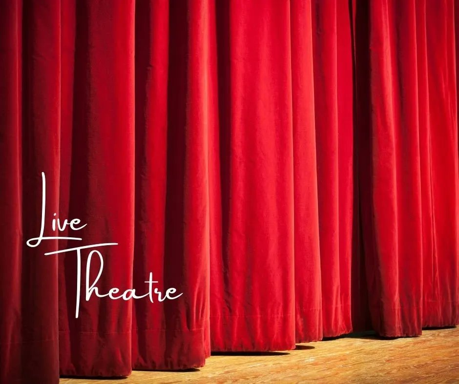 We are excited to welcome live audiences back to theatres in Davidson! There are performances planned throughout the remainder of the year.
buff.ly/3KxlqPW