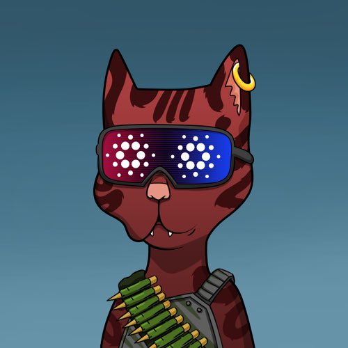 CryptoLit tweet media