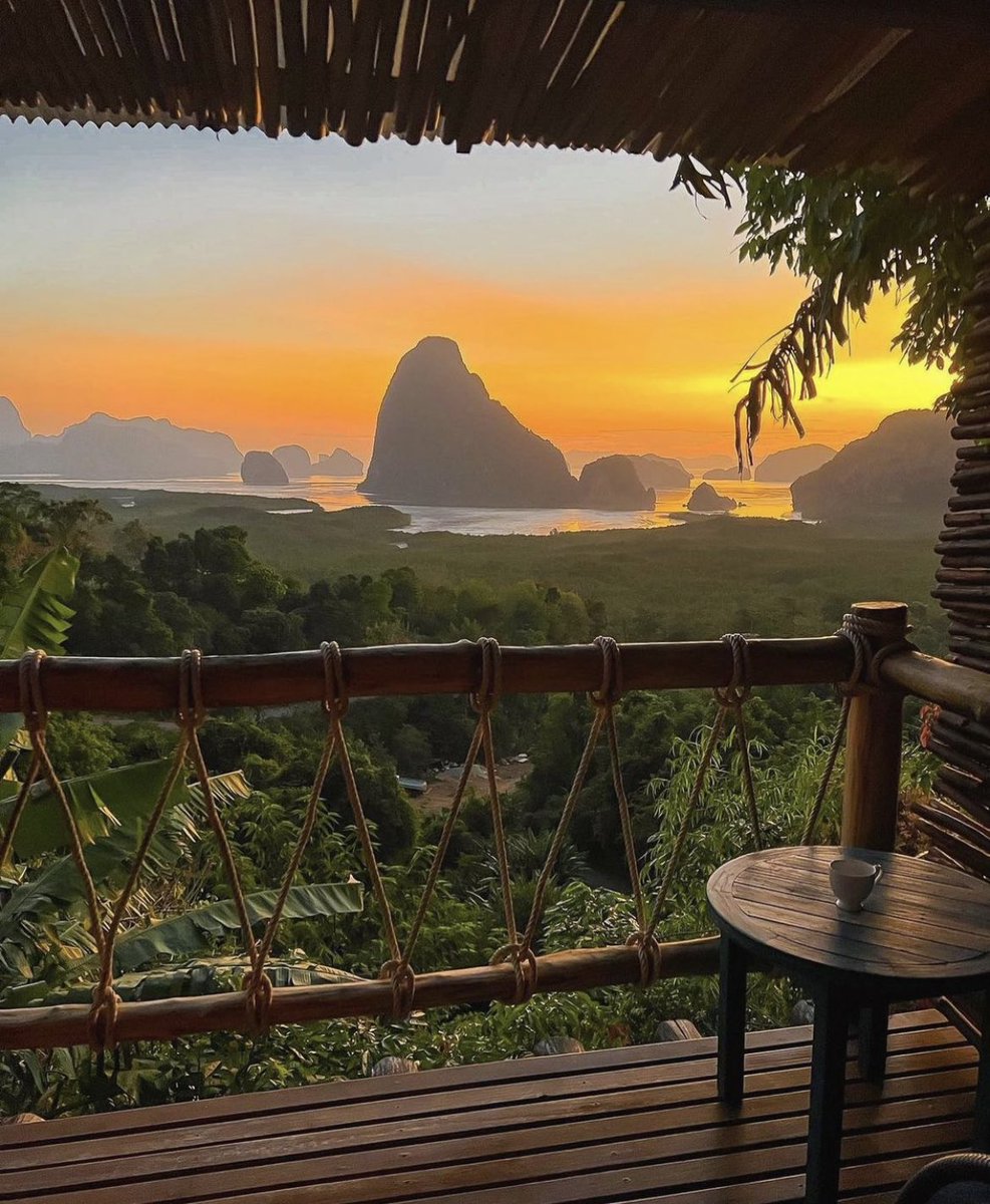 Jungle mornings in Thailand 🇹🇭