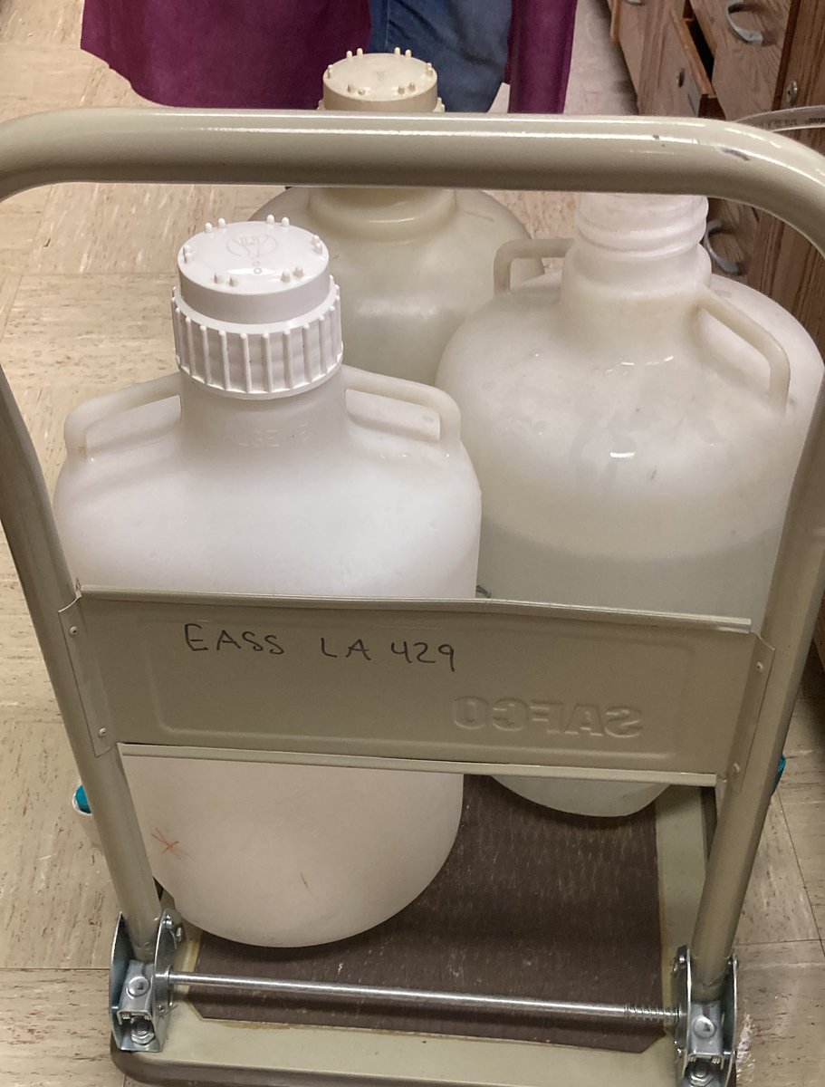 PalyJen's tweet photo. Itโs an #OPaL RO water run day. High on my #wishlist is a RO water supply in my new lab. The #newsciencebuilding will be here before we know it;๐ค๐ผ๐ค๐ผ our backs hold up until itโs built (~4 yrs). https://t.co/a9aztM5A1t