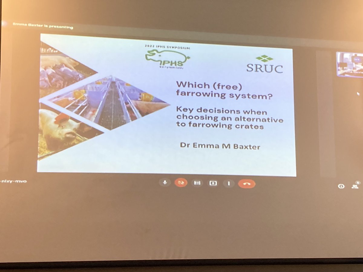 LABoyle2's tweet photo. Great talk by Dr Emma Baxter from @SRUC on alternative farrowing systems for sows @Irishpighealth symposium. Meeting animals biological needs is important for all #IPHS #pigwelfare #freefarrowing #endthecage ๐ท https://t.co/9V1D4uENT9
