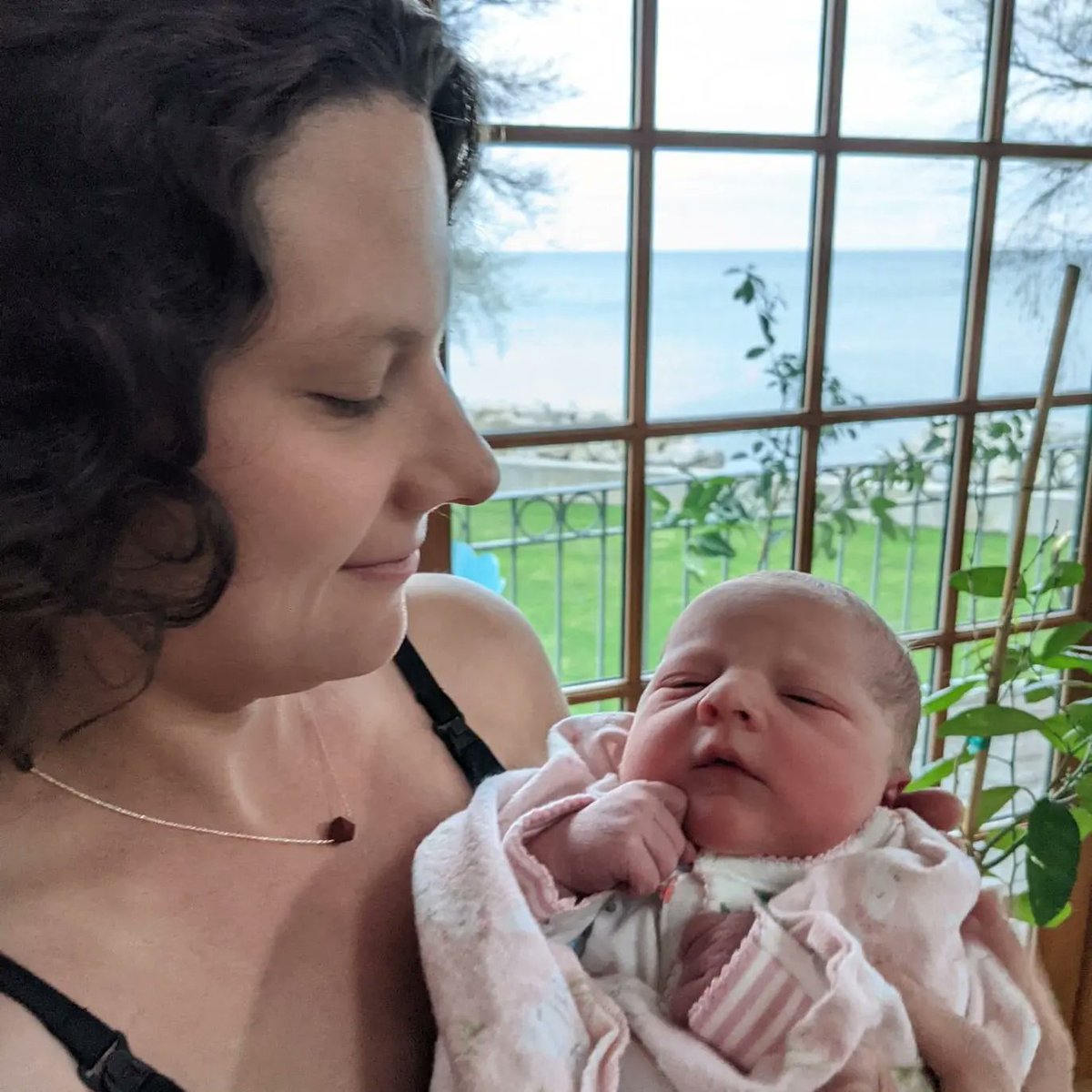 Victor Gutwein tweet media