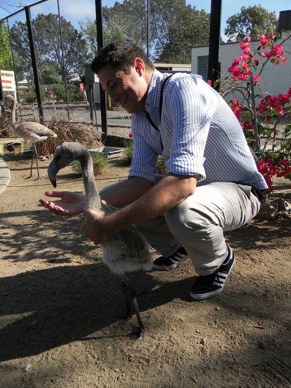 Torresaurus_rex's tweet photo. Every day is #InternationalFlamingoDay if you try hard enough. https://t.co/n50j8GdEG7
