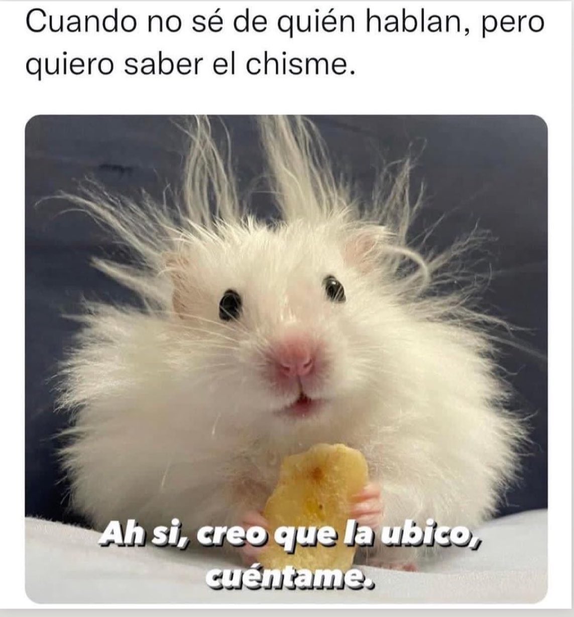 Ahue Chismecito Meme Memes Sobre El Chisme Chisme Meme By NovaLee :) Memedroid
