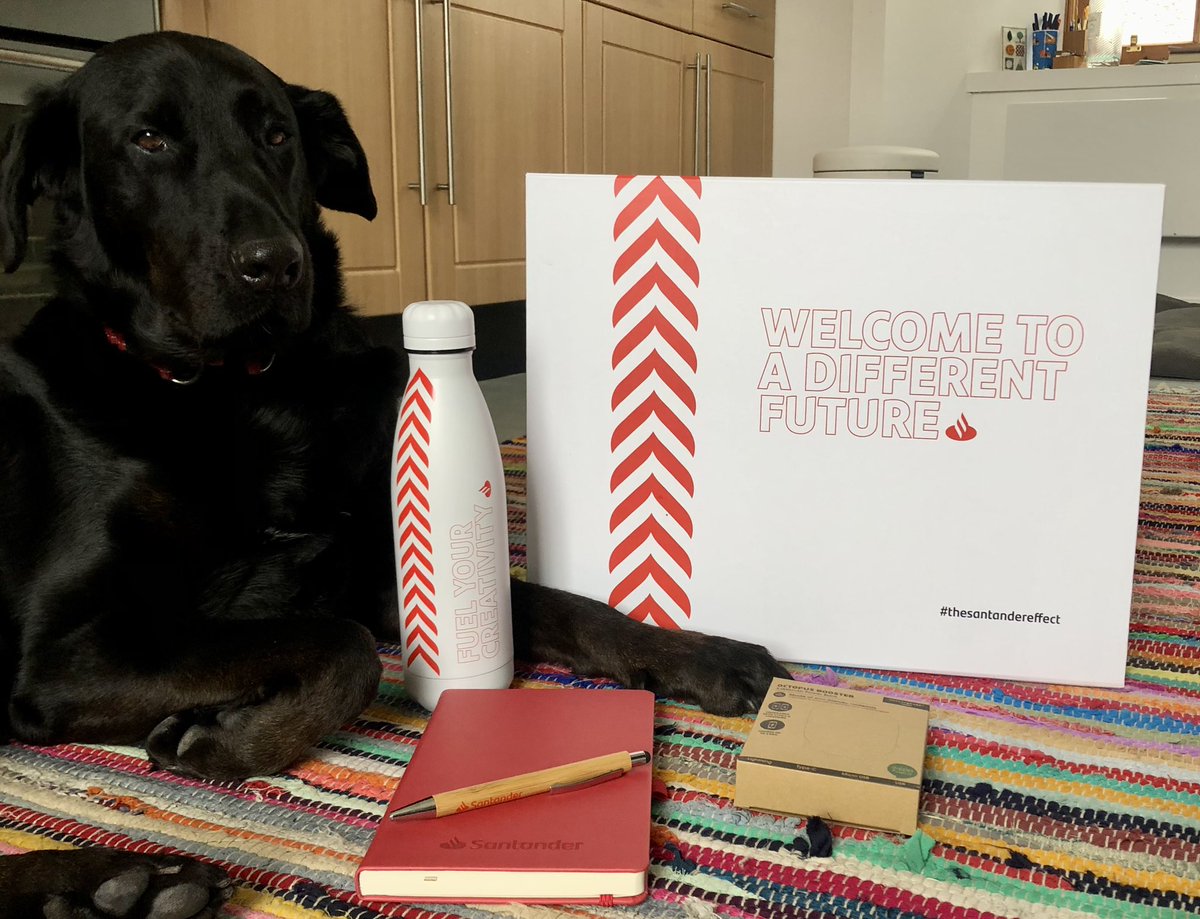 islap1k1's tweet photo. Bonnie approves #thesantandereffect @santanderuk https://t.co/wfdovySFjG