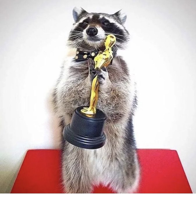 Watch Thesabrinabanks 🦝 💦's leaked NSFW photo on TwXstars