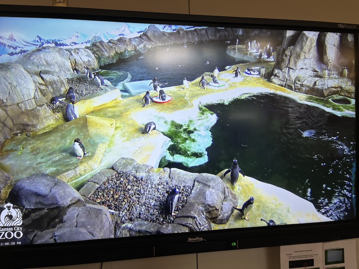 Seven Bridges Library tweet media