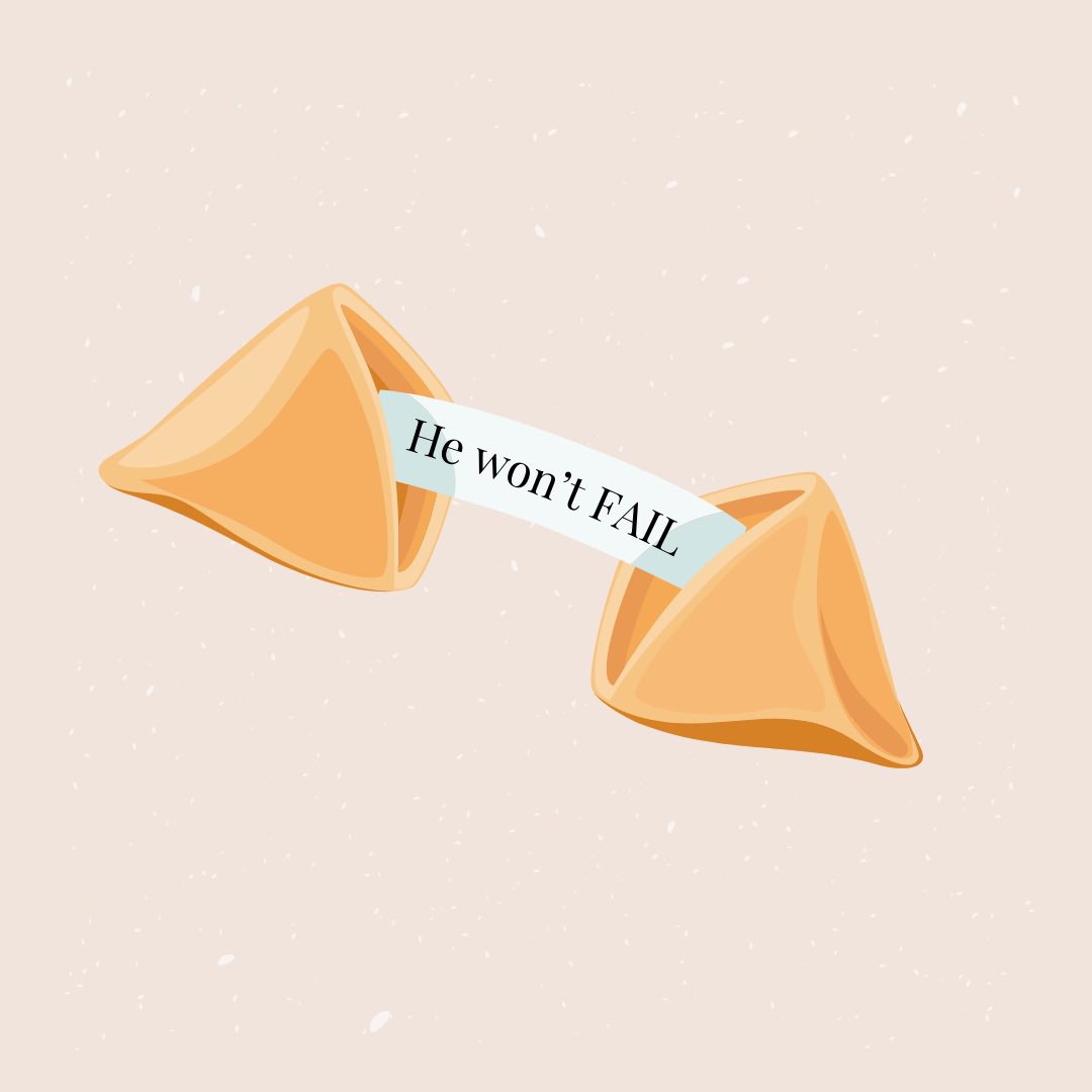 Happy Tuesday 🌱❤️