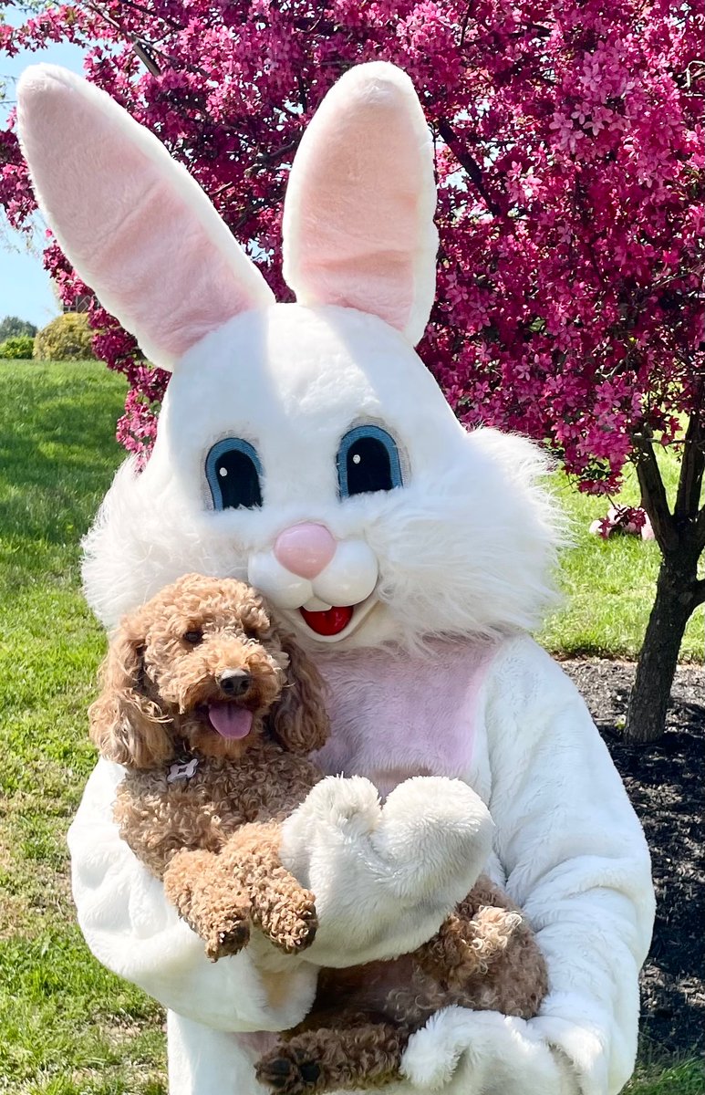 Lexi and the Easter bunny. #easter2022