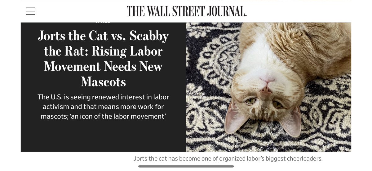 This is a real article in the wall street journal. It includes an explanation of toe beans 
wsj.com/articles/cat-l…