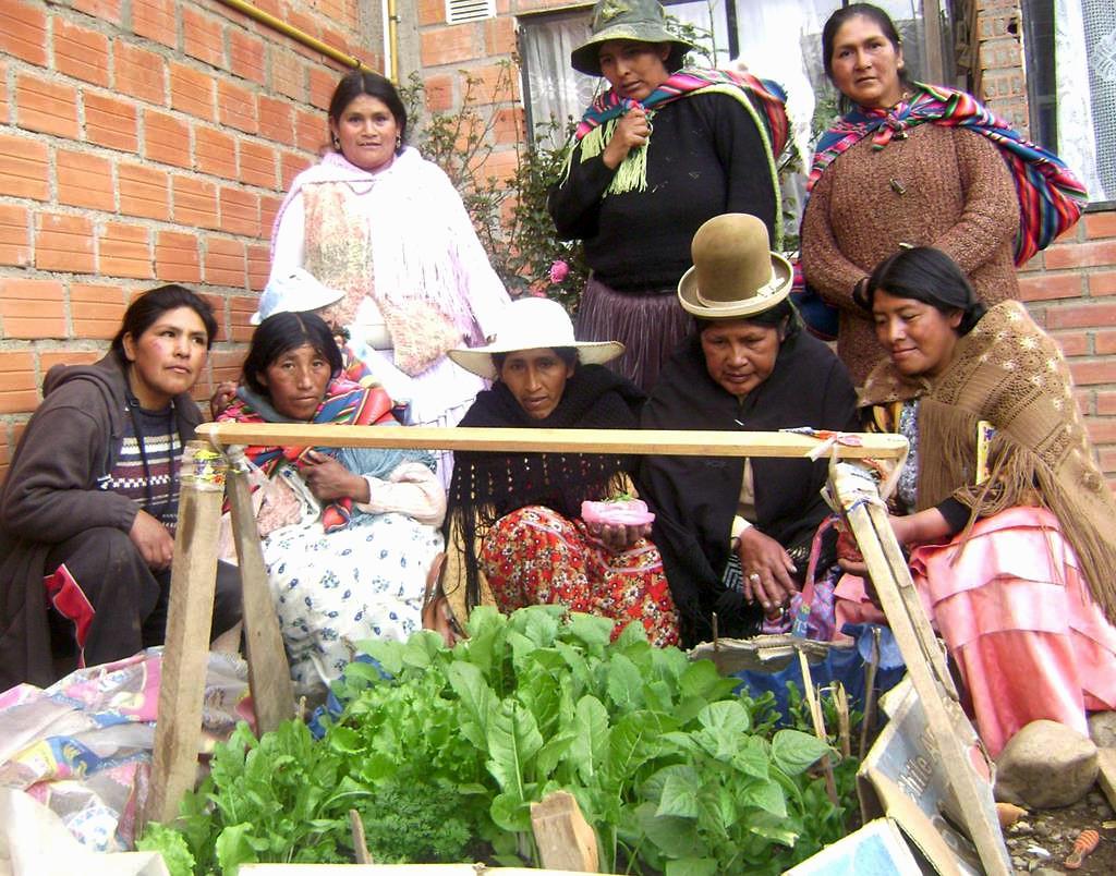 Urbane Landwirtschaft in Bolivien. El Alto ist die zweitgrösste Stadt in Bolivien und auf über 4.000 gelegen. Wie das funktioniert erklärt Rolando Lazarte vom Zentrum zur Bildung und Ausbildung für Bürger:innenbeteiligung. amerika21.de/analyse/257676…