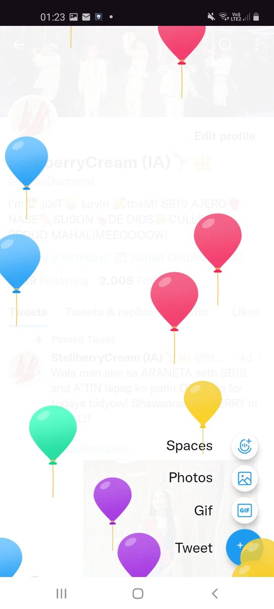 StellsDiamond's tweet photo. Magtatampo na sana ako sayo ibon kanina kasi 1am na wala ka parin pa balloons sa akin! Hahahaha https://t.co/qyPxaZmHLL