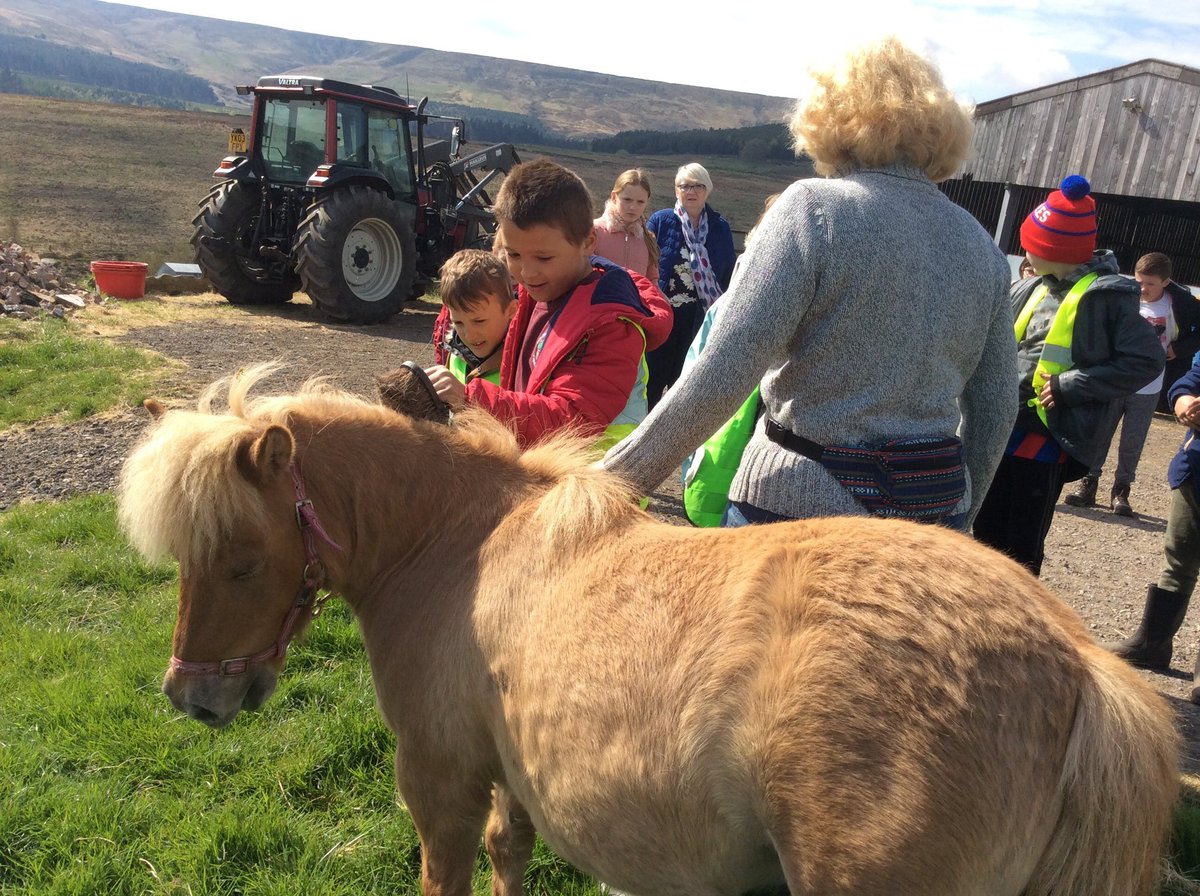 MelthamMoor's tweet photo. #MMyear4 have had a wonderful day exploring our beautiful local area. Lambing, farm visit, animals, picnic, walk, exploring habitats, paddling- perfect! #MMoutdoorlearning #MMscience part 1 https://t.co/Rayq30GrKz