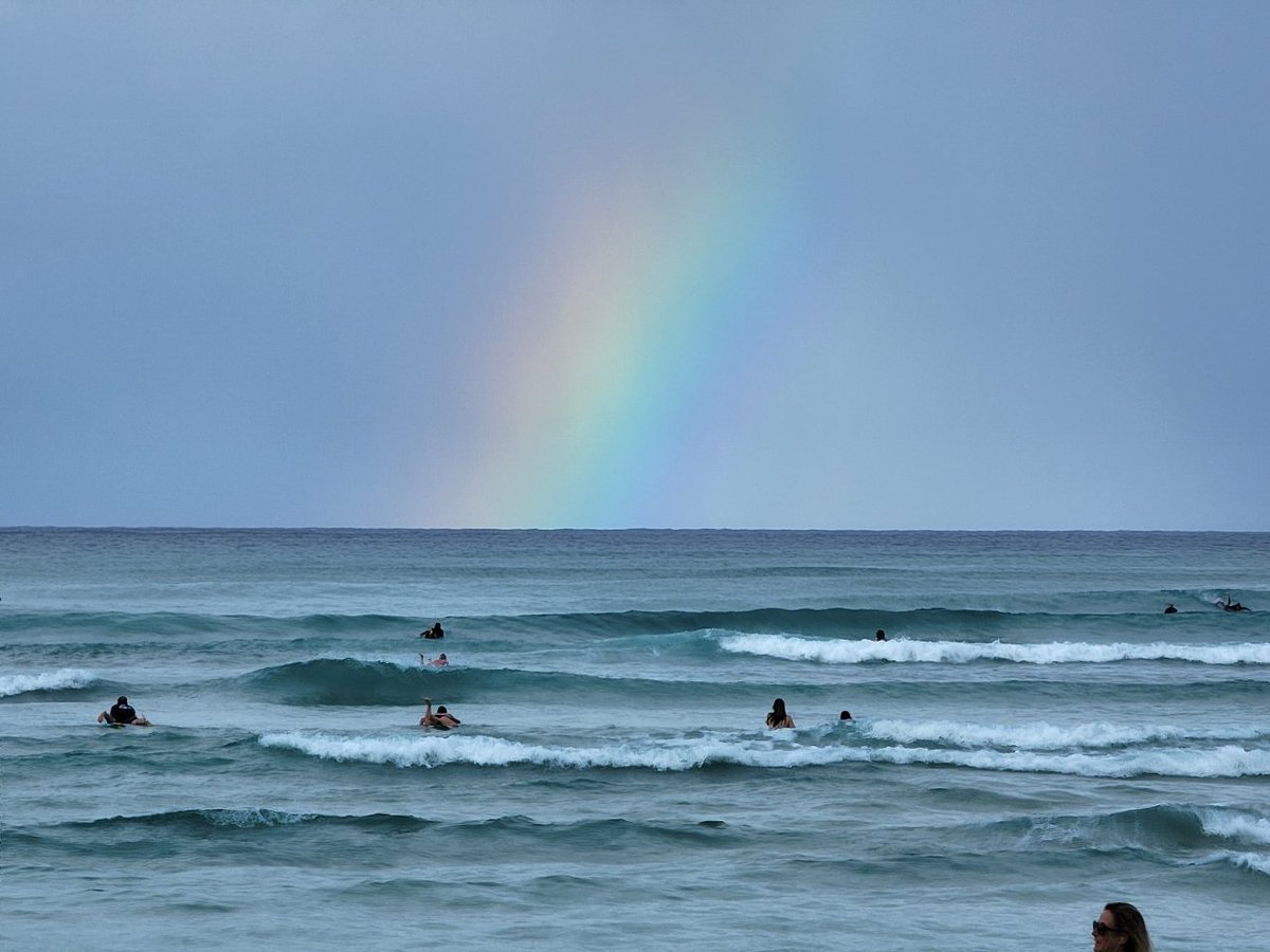 ninjaloha50's tweet image. Good morning Tuesday