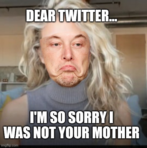 Here4Musk's tweet photo. Dear Twitter... https://t.co/00XDEpAbUC