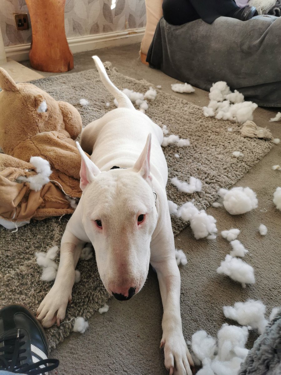 PaulMos02436367's tweet image. That lasted all of 5 mins