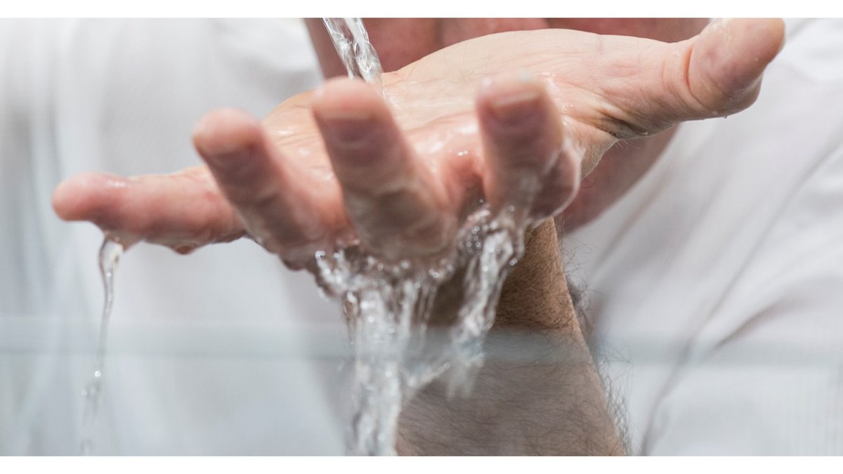 Timothy Leighton tweet media