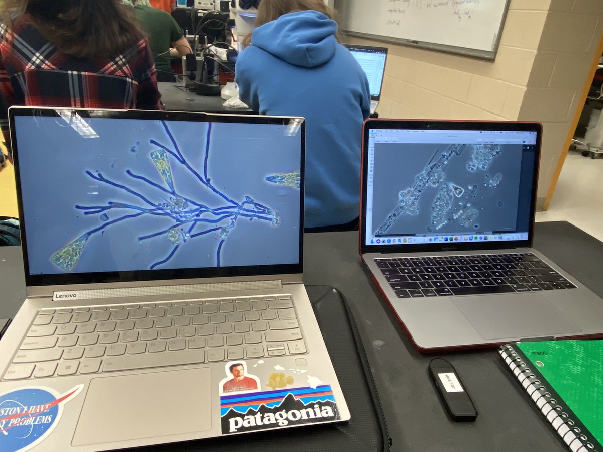 casscerasia's tweet photo. Some behind the scenes shots working on our #microdocumentary project for #RWUPlanktonBIO with @bwysor_getalgae at @myrwu! Featuring shots of Licmophora and @meg_amato! @rwusciences https://t.co/etSdr3dUfH