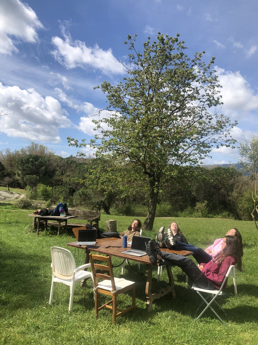 seassu's tweet photo. l'estiu s'ha deixat veure a través d'una escletxa a mig semestre 🌞🌱🫶🧚‍♂️✨💚 https://t.co/dpVgGkFa7r